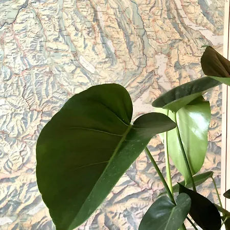 Daire Cozy For 2 -the Iconic Valley View! Lauterbrunnen