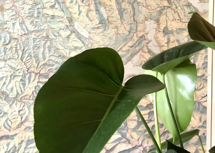 公寓 Postcard View-romantic Retreat-outdoor Dining 劳特布龙嫩